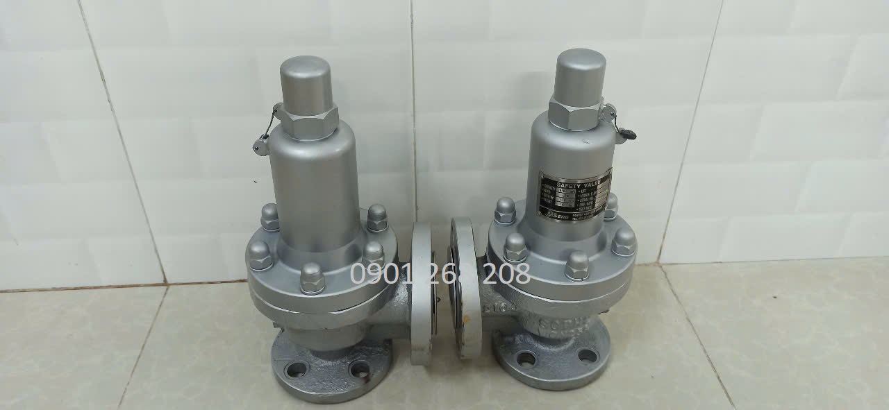 Van an toan bon gas noi bich DN25 JIS20K WSLT-5124M